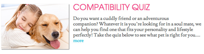 Foothills-_-Compatibility