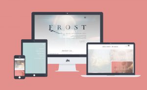 Fireant's responsive website design and development for Frost Motion