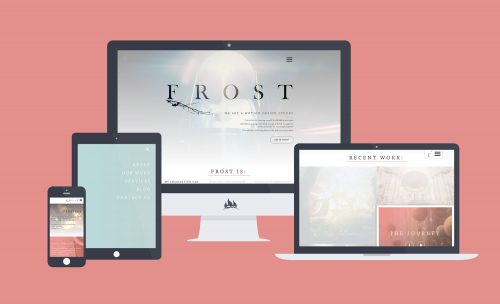 Fireant's responsive website design and development for Frost Motion