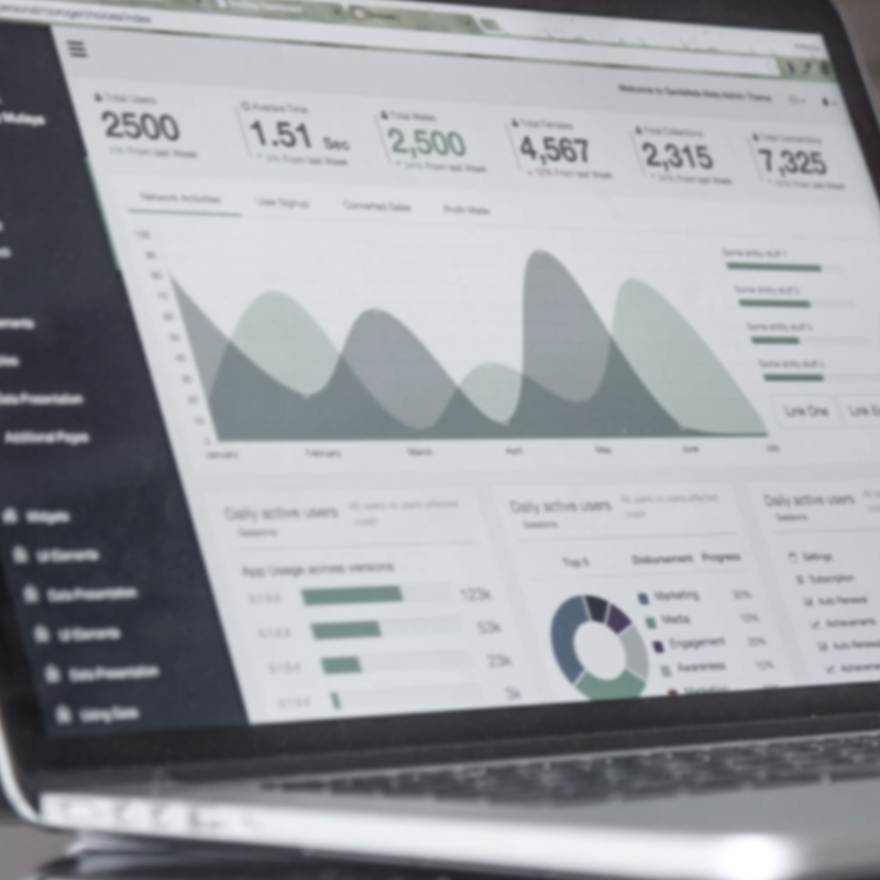 FIREANT STUDIO brand strategy focused on campaign execution, monitoring and digital strategy optimization.