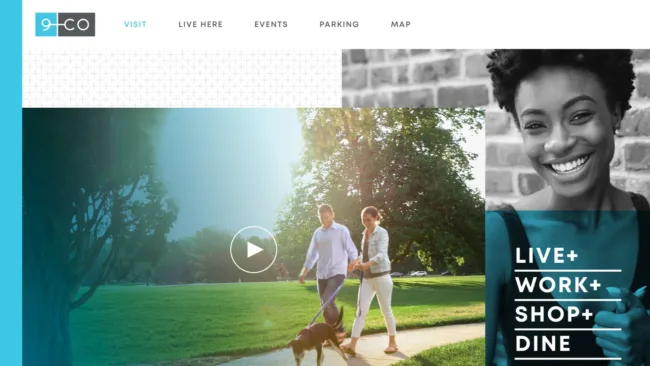 Image showing real estate WordPress website.
