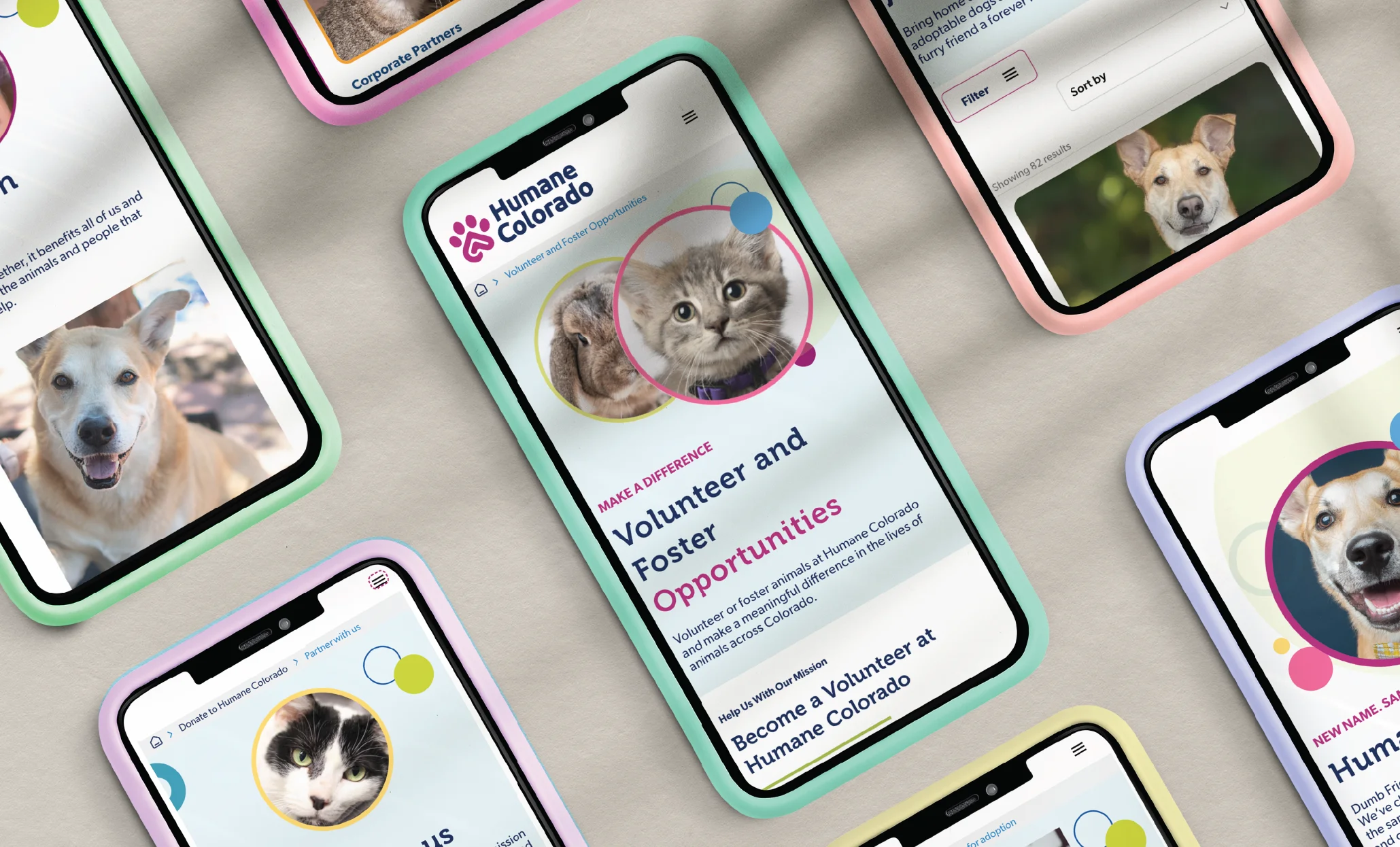 Wordpress website for Humane Colorado displayed on mobile devices