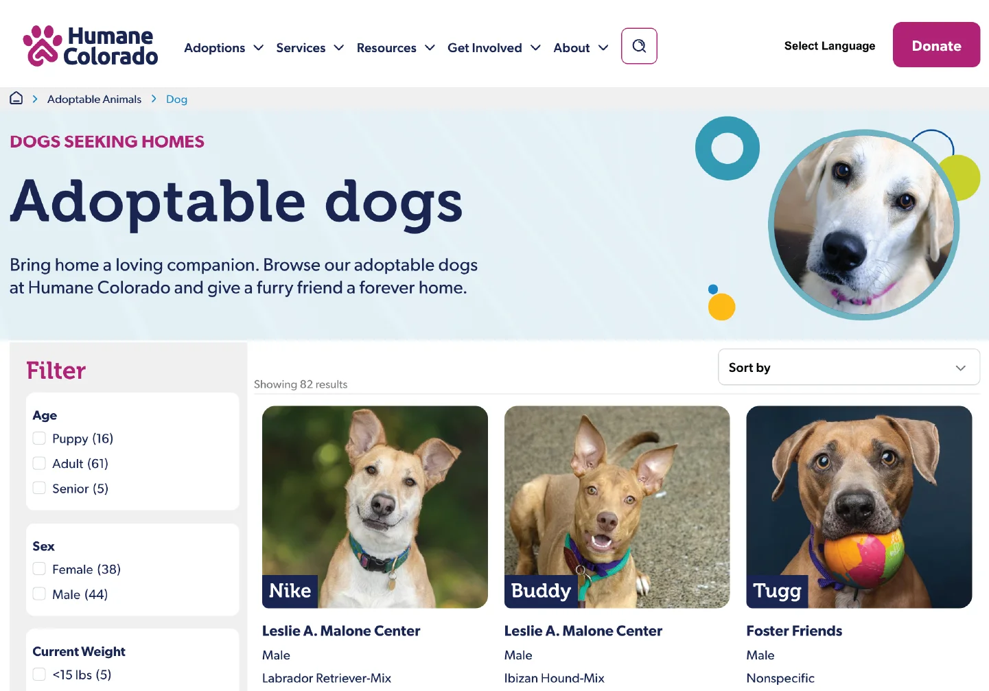 Humane Colorado's website showing the robust search and filtering available for adoptable animals