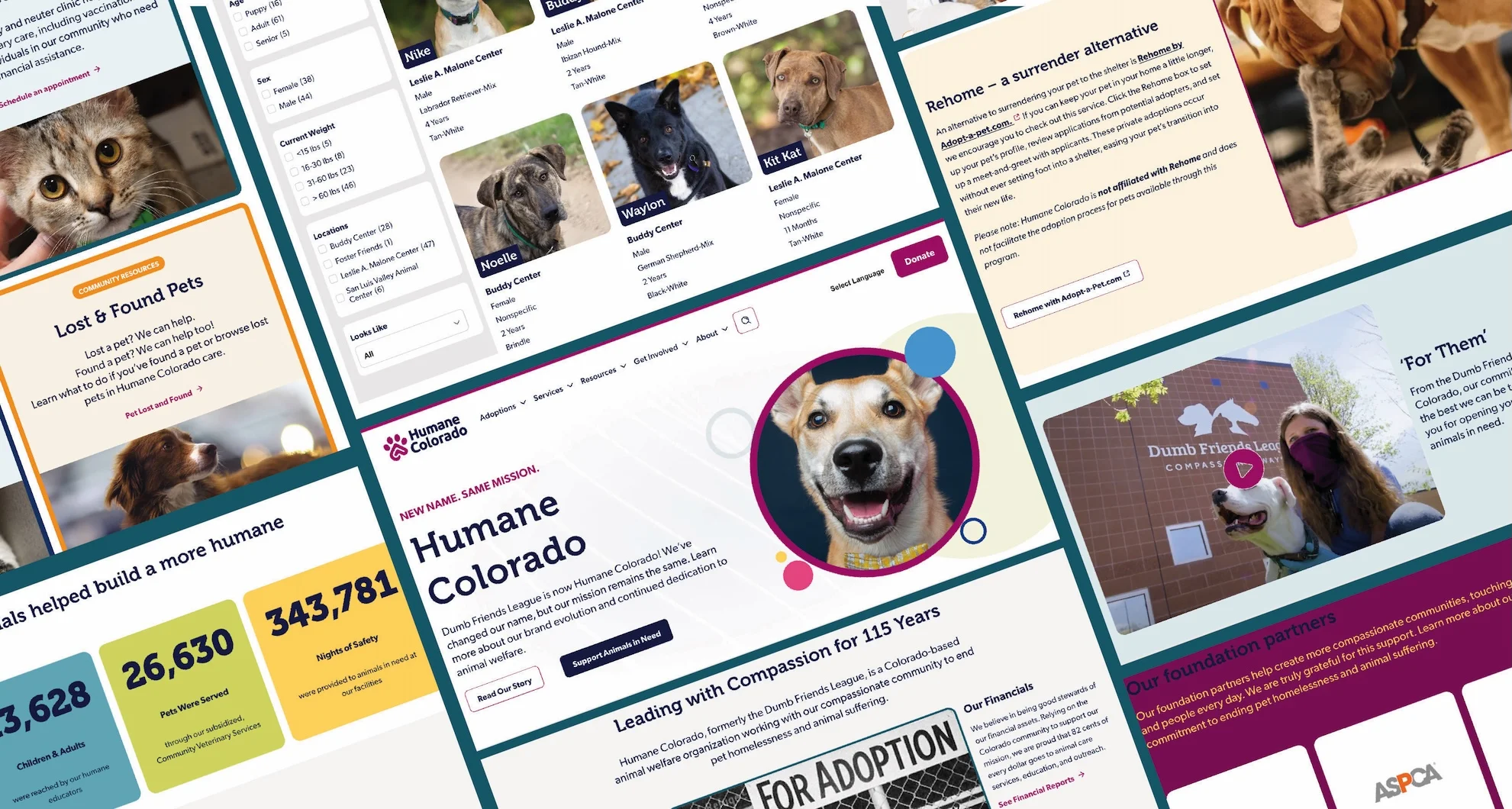 Accessible (WCAG 2.1 AA) custom multilingual WordPress solution for Humane Colorado
