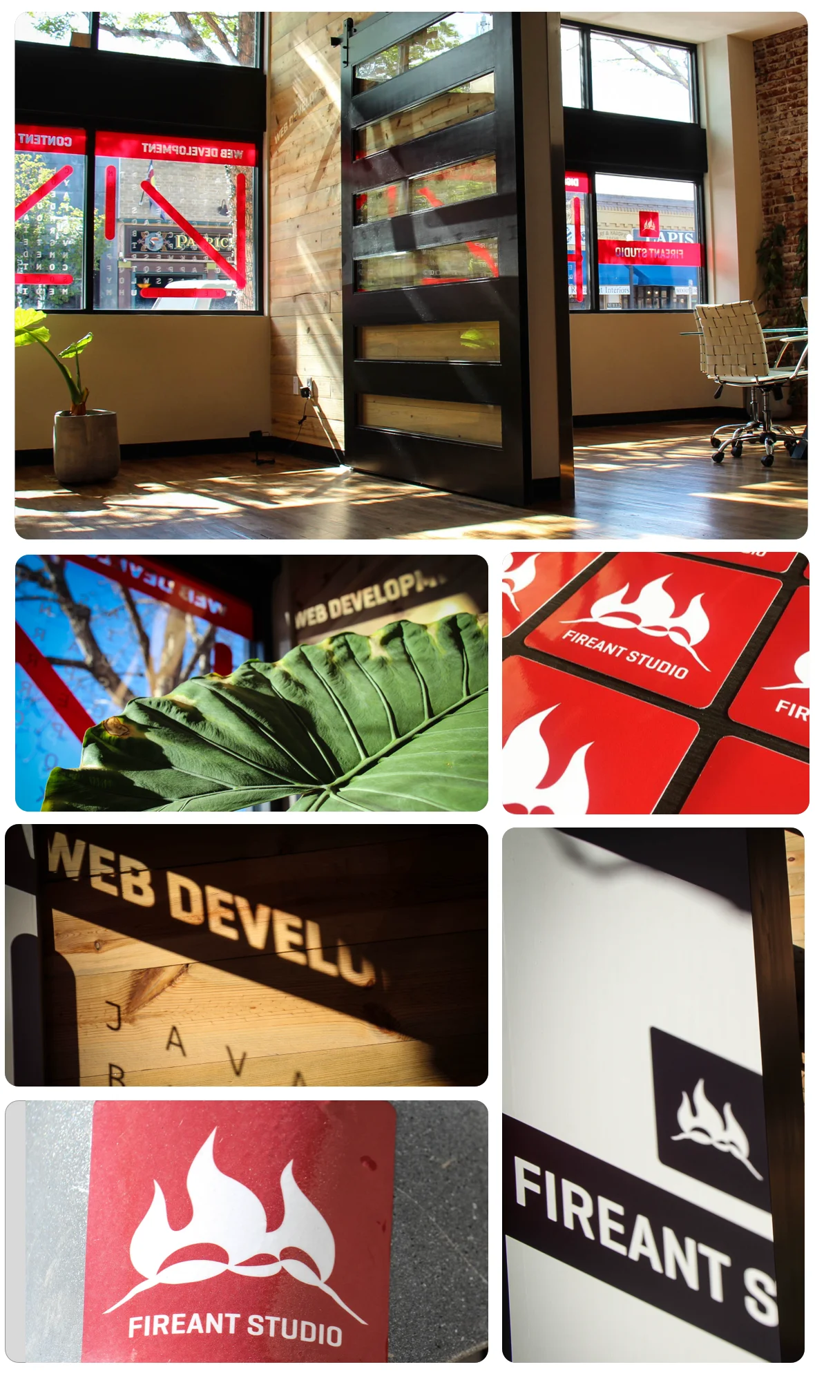 Collage of Fireant Studio office featuring sunlit interior, red window graphics, branded stickers, and wooden signage